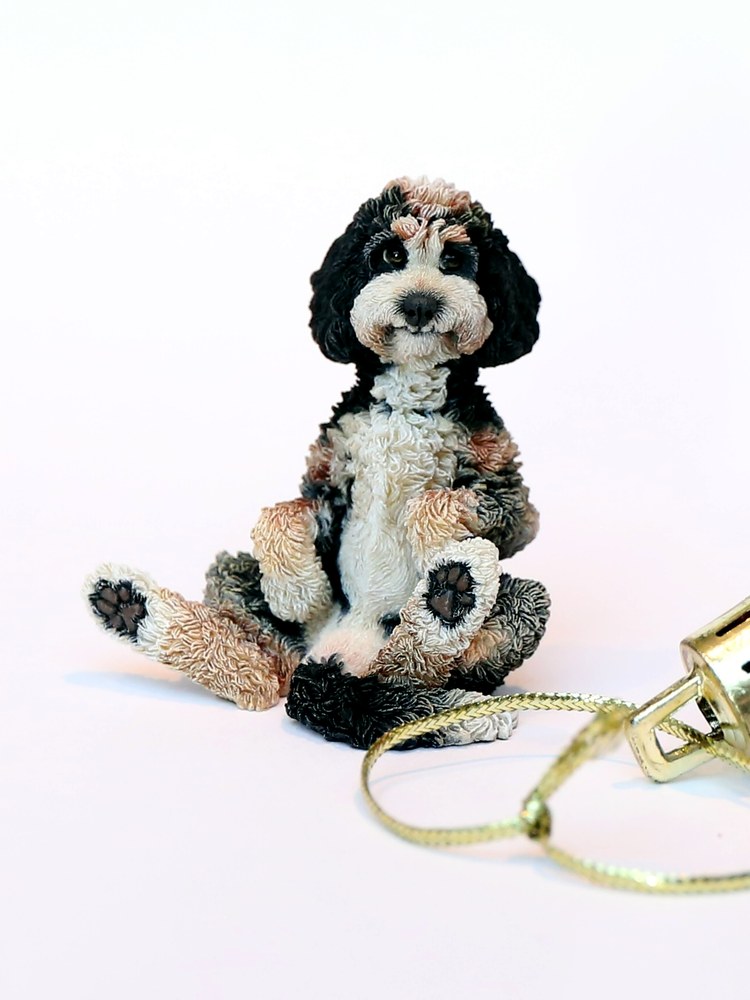 Cockapoo — Seated